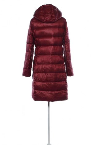 Damenjacke Calvin Klein, Größe L, Farbe Rot, Preis € 77,75