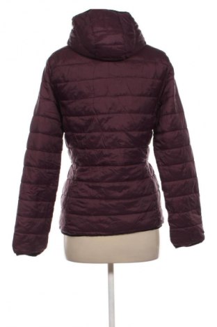 Γυναικείο μπουφάν Crane, Μέγεθος S, Χρώμα Πολύχρωμο, Τιμή 13,99 €