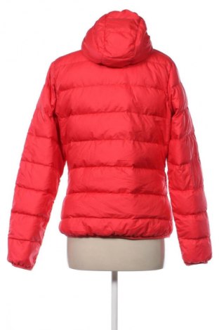 Damenjacke Jack Wolfskin, Größe M, Farbe Rot, Preis 45,99 €