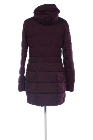 Damenjacke Jack Wolfskin, Größe S, Farbe Lila, Preis € 84,99