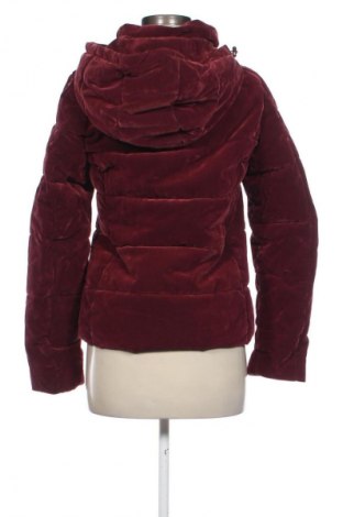 Kurtka damska Miss Etam, Rozmiar S, Kolor Czerwony, Cena 204,60 zł