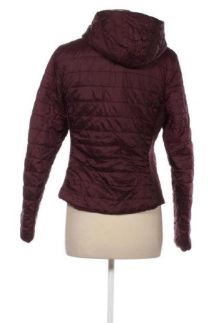 Damenjacke Orsay, Größe M, Farbe Rot, Preis € 23,99