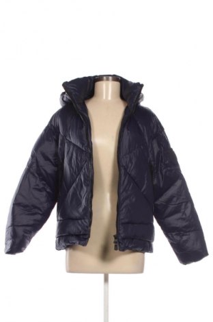 Dámska bunda  Pinko, Veľkosť XS, Farba Modrá, Cena  249,95 €