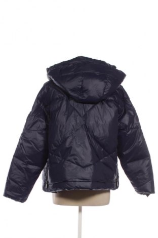 Dámska bunda  Pinko, Veľkosť XS, Farba Modrá, Cena  249,95 €