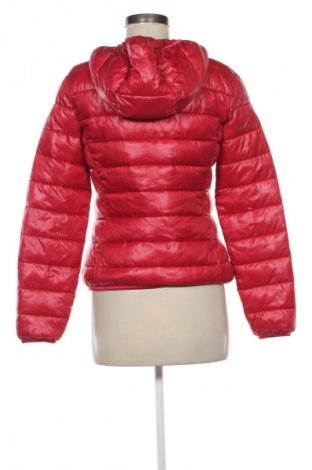 Női dzseki Terranova, Méret S, Szín Piros, Ár 11 730 Ft