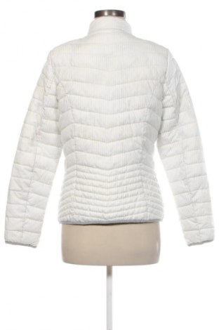 Γυναικείο μπουφάν Unbranded, Μέγεθος S, Χρώμα Πολύχρωμο, Τιμή 7,99 €