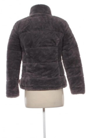 Γυναικείο μπουφάν YMI, Μέγεθος S, Χρώμα Γκρί, Τιμή 26,99 €