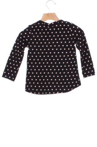 Dětská halenka  Coccodrillo, Velikost 18-24m/ 86-98 cm, Barva Vícebarevné, Cena  129,00 Kč