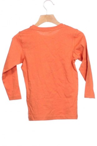 Dziecięca bluzka Friboo, Rozmiar 2-3y/ 98-104 cm, Kolor Pomarańczowy, Cena 39,99 zł