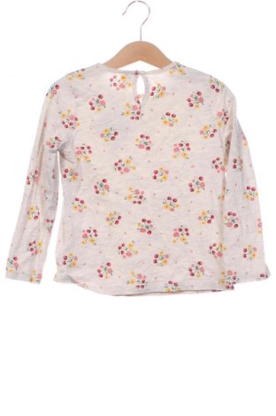 Dětská halenka  LC Waikiki, Velikost 3-4y/ 104-110 cm, Barva Vícebarevné, Cena  159,00 Kč