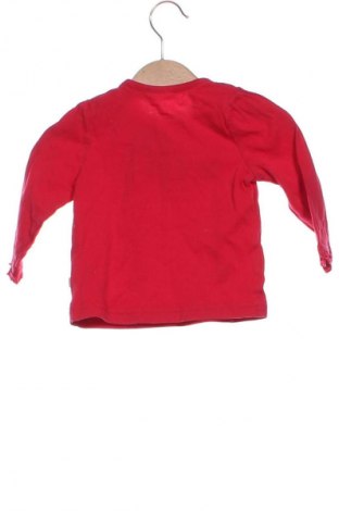 Dziecięca bluzka Liegelind, Rozmiar 6-9m/ 68-74 cm, Kolor Czerwony, Cena 26,97 zł