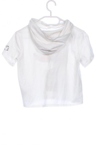 Dziecięca bluzka Looney Tunes, Rozmiar 12-13y/ 158-164 cm, Kolor Kolorowy, Cena 24,99 zł