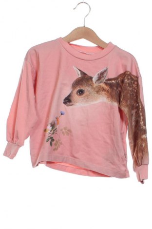 Dziecięca bluzka Molo, Rozmiar 2-3y/ 98-104 cm, Kolor Kolorowy, Cena 99,99 zł