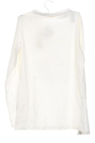 Dziecięca bluzka Oviesse, Rozmiar 14-15y/ 168-170 cm, Kolor ecru, Cena 36,99 zł