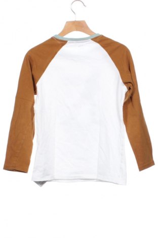 Dětská halenka  Sinsay, Velikost 8-9y/ 134-140 cm, Barva Vícebarevné, Cena  119,00 Kč