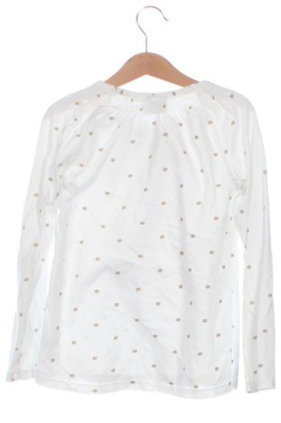 Dětská halenka  Topolino, Velikost 6-7y/ 122-128 cm, Barva Vícebarevné, Cena  139,00 Kč