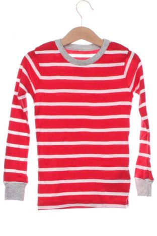 Kinder Shirt Carter's, Größe 3-4y/ 104-110 cm, Farbe Mehrfarbig, Preis 9,99 €