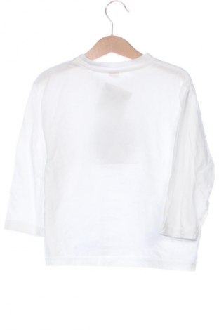 Kinder Shirt Unbranded, Größe 5-6y/ 116-122 cm, Farbe Weiß, Preis 6,99 €