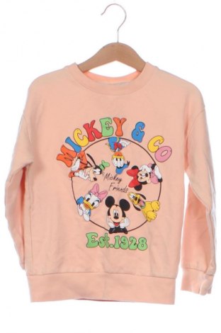 Detská blúzka  Zara, Veľkosť 4-5y/ 110-116 cm, Farba Viacfarebná, Cena  8,95 €