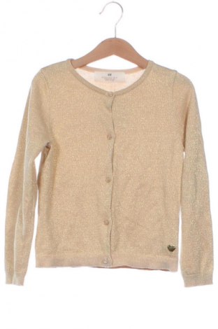 Dziecięcy kardigan H&M, Rozmiar 4-5y/ 110-116 cm, Kolor Złocisty, Cena 39,31 zł