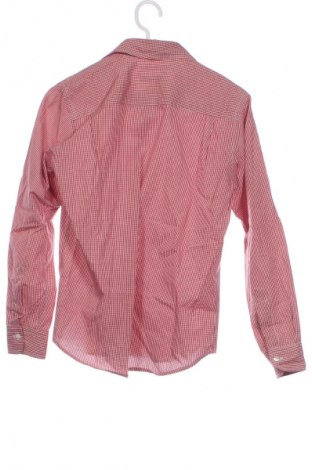 Dziecięca koszula Ivy Oxford, Rozmiar 13-14y/ 164-168 cm, Kolor Kolorowy, Cena 56,99 zł