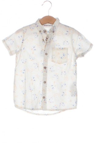 Dziecięca koszula Looney Tunes, Rozmiar 18-24m/ 86-98 cm, Kolor Kolorowy, Cena 37,99 zł