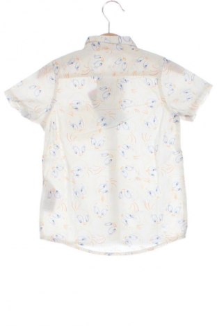 Dziecięca koszula Looney Tunes, Rozmiar 18-24m/ 86-98 cm, Kolor Kolorowy, Cena 37,99 zł