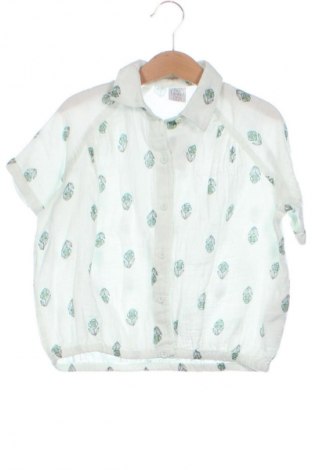 Dziecięca koszula Pepco, Rozmiar 4-5y/ 110-116 cm, Kolor Kolorowy, Cena 24,99 zł