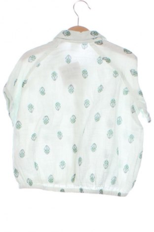 Dziecięca koszula Pepco, Rozmiar 4-5y/ 110-116 cm, Kolor Kolorowy, Cena 24,99 zł