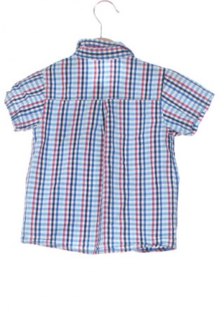 Детска риза Pepco, Размер 12-18m/ 80-86 см, Цвят Многоцветен, Цена 10,99 лв.