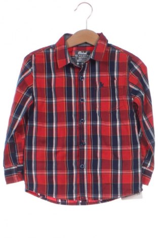 Детска риза Rebel, Размер 2-3y/ 98-104 см, Цвят Многоцветен, Цена 10,99 лв.