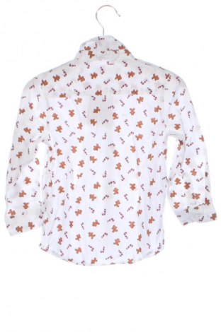 Детска риза Sinsay, Размер 18-24m/ 86-98 см, Цвят Многоцветен, Цена 10,99 лв.