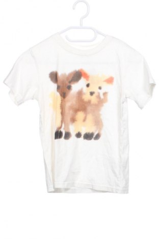 Dětské tričko  H&M, Velikost 6-7y/ 122-128 cm, Barva Vícebarevné, Cena  139,00 Kč