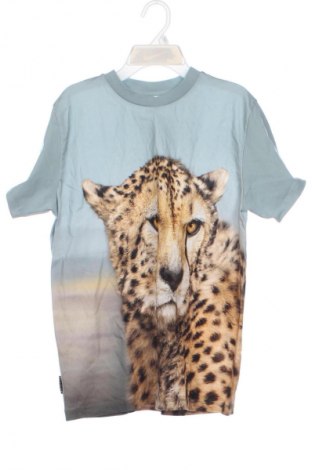 Dětské tričko  Molo, Velikost 13-14y/ 164-168 cm, Barva Modrá, Cena  559,00 Kč