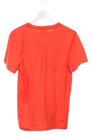 Dětské tričko  Yigga, Velikost 15-18y/ 170-176 cm, Barva Oranžová, Cena  179,00 Kč