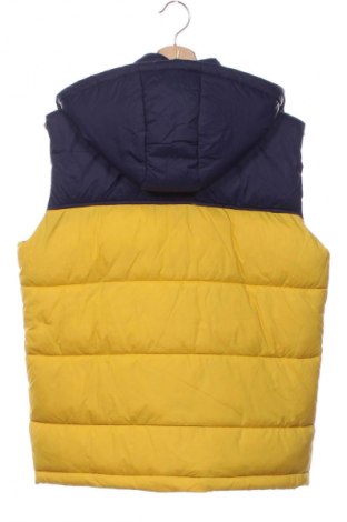 Kinderweste Timberland, Größe 15-18y/ 170-176 cm, Farbe Mehrfarbig, Preis 29,99 €