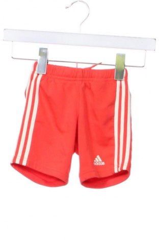 Kinder Shorts Adidas, Größe 18-24m/ 86-98 cm, Farbe Rot, Preis 14,00 €