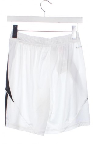 Dziecięce szorty Adidas, Rozmiar 15-18y/ 170-176 cm, Kolor Kolorowy, Cena 133,99 zł