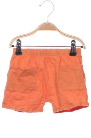 Kinder Shorts Lupilu, Größe 18-24m/ 86-98 cm, Farbe Orange, Preis 7,16 €