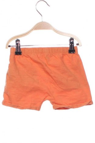 Kinder Shorts Lupilu, Größe 18-24m/ 86-98 cm, Farbe Orange, Preis 7,16 €