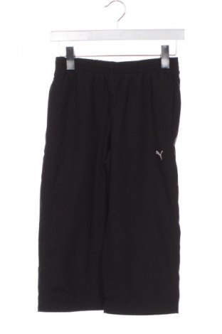 Dziecięce szorty PUMA, Rozmiar 12-13y/ 158-164 cm, Kolor Czarny, Cena 61,99 zł