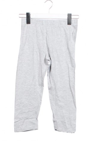 Dziecięce legginsy Alive, Rozmiar 11-12y/ 152-158 cm, Kolor Szary, Cena 42,99 zł