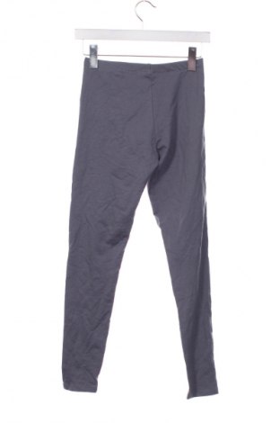 Παιδικό κολάν Alive, Μέγεθος 10-11y/ 146-152 εκ., Χρώμα Γκρί, Τιμή 9,99 €