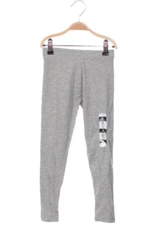 Detské legíny  In Extenso, Veľkosť 5-6y/ 116-122 cm, Farba Sivá, Cena  9,95 €