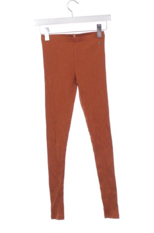 Dziecięce legginsy Unbranded, Rozmiar 13-14y/ 164-168 cm, Kolor Brązowy, Cena 40,99 zł