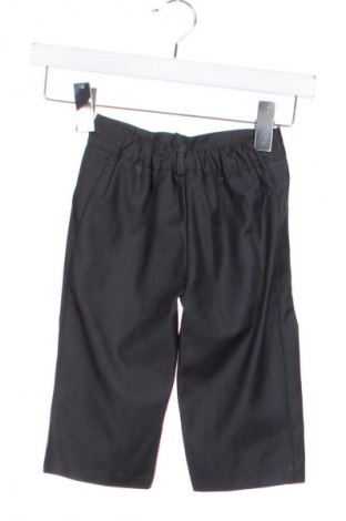 Pantaloni pentru copii Unbranded, Mărime 9-12m/ 74-80 cm, Culoare Gri, Preț 43,99 Lei