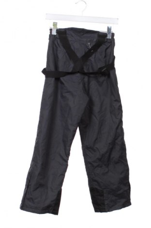 Detské nohavice pre zimné športy  Crane, Veľkosť 8-9y/ 134-140 cm, Farba Sivá, Cena  22,95 €