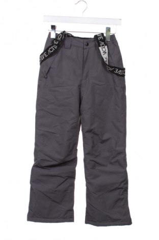 Spodnie dziecięce do sportów zimowych Crane, Rozmiar 8-9y/ 134-140 cm, Kolor Szary, Cena 88,99 zł