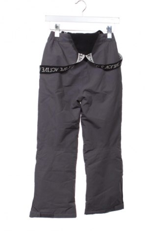 Spodnie dziecięce do sportów zimowych Crane, Rozmiar 8-9y/ 134-140 cm, Kolor Szary, Cena 88,99 zł