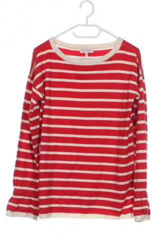 Dziecięcy sweter TWINSET, Rozmiar 15-18y/ 170-176 cm, Kolor Kolorowy, Cena 142,99 zł